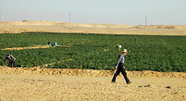 agricultural threat